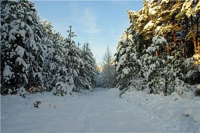 《刺客信条：影》首支预告 走进全新刺客时代